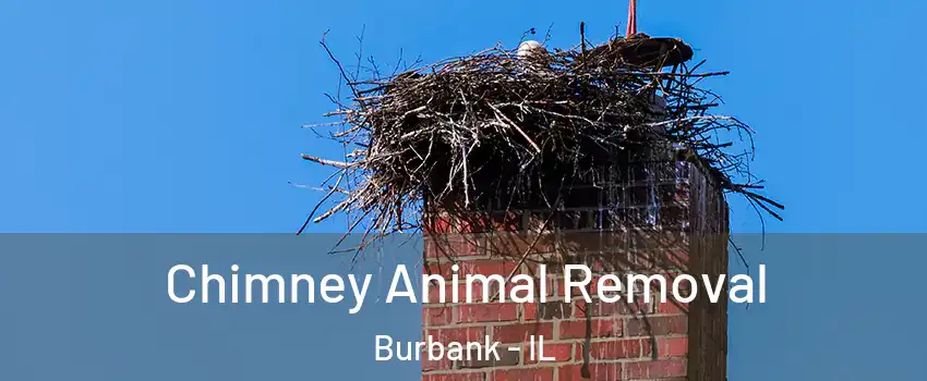  Chimney Animal Removal Burbank - IL