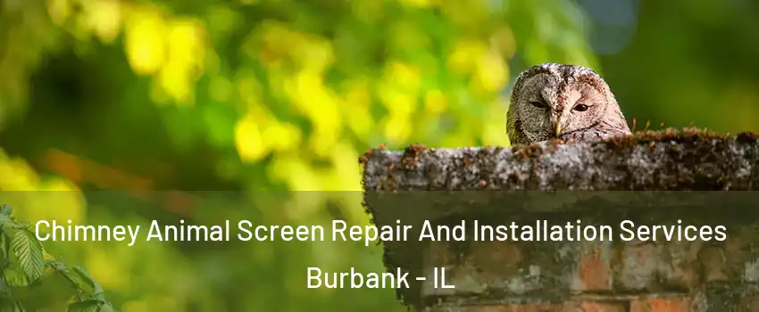  Chimney Animal Screen Repair And Installation Services Burbank - IL