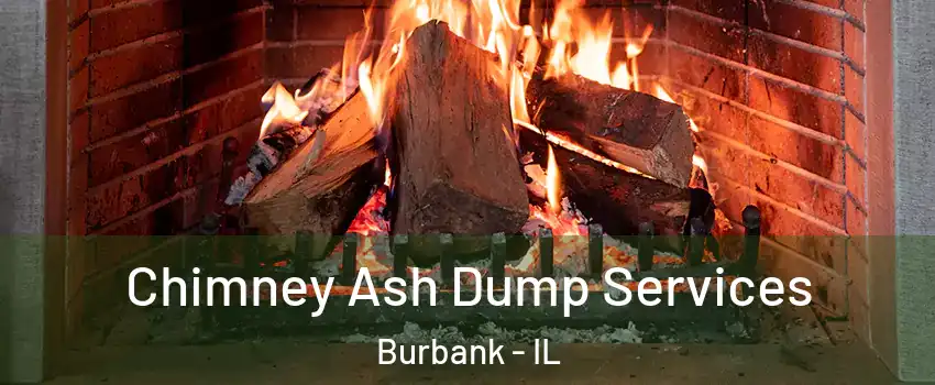 Chimney Ash Dump Services Burbank - IL
