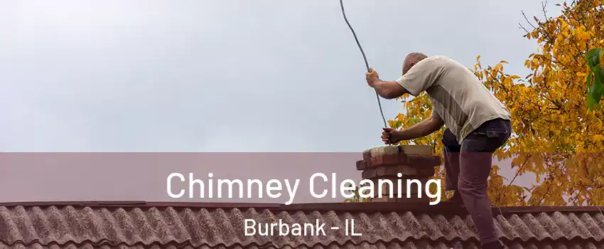  Chimney Cleaning Burbank - IL