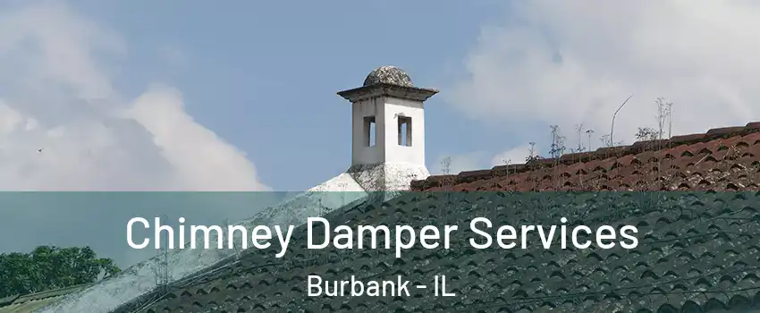  Chimney Damper Services Burbank - IL