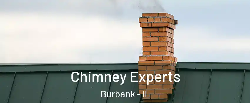  Chimney Experts Burbank - IL