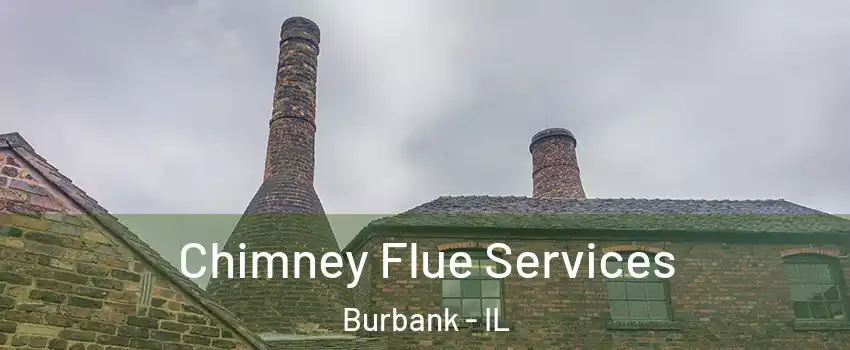  Chimney Flue Services Burbank - IL