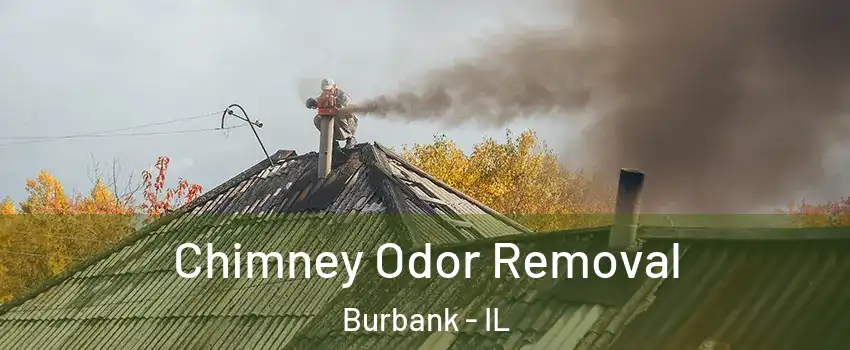  Chimney Odor Removal Burbank - IL