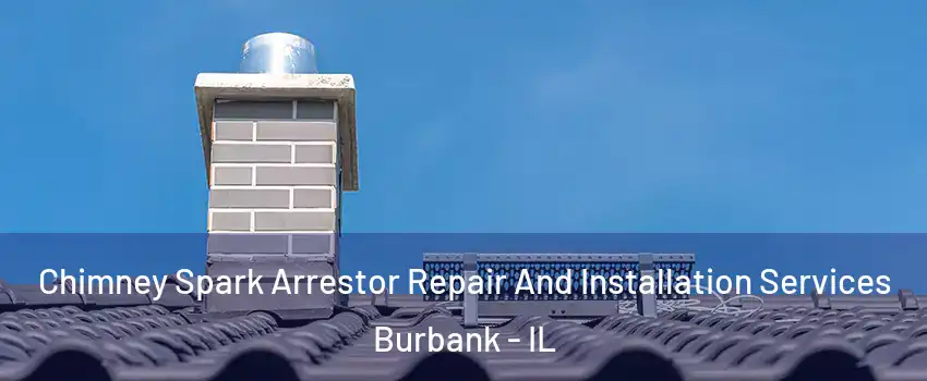  Chimney Spark Arrestor Repair And Installation Services Burbank - IL