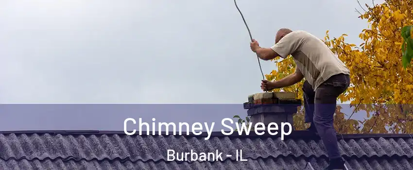  Chimney Sweep Burbank - IL