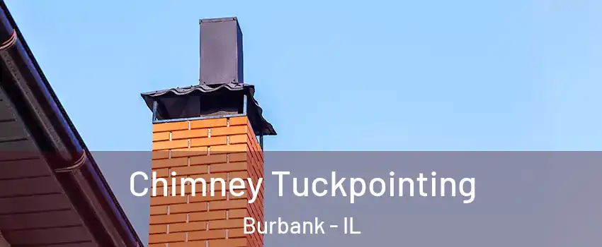  Chimney Tuckpointing Burbank - IL