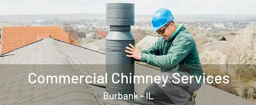  Commercial Chimney Services Burbank - IL