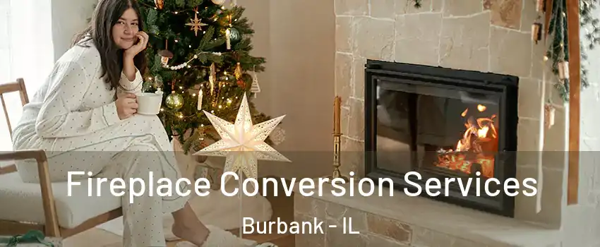  Fireplace Conversion Services Burbank - IL