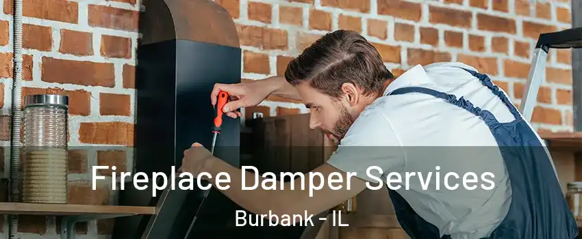  Fireplace Damper Services Burbank - IL