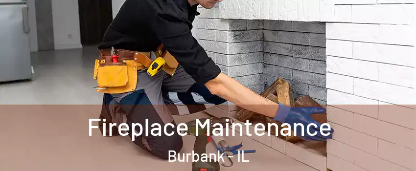  Fireplace Maintenance Burbank - IL