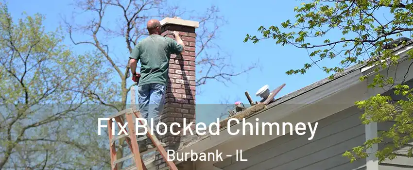  Fix Blocked Chimney Burbank - IL