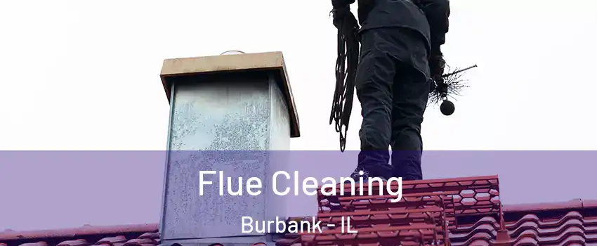  Flue Cleaning Burbank - IL