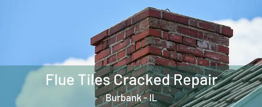  Flue Tiles Cracked Repair Burbank - IL