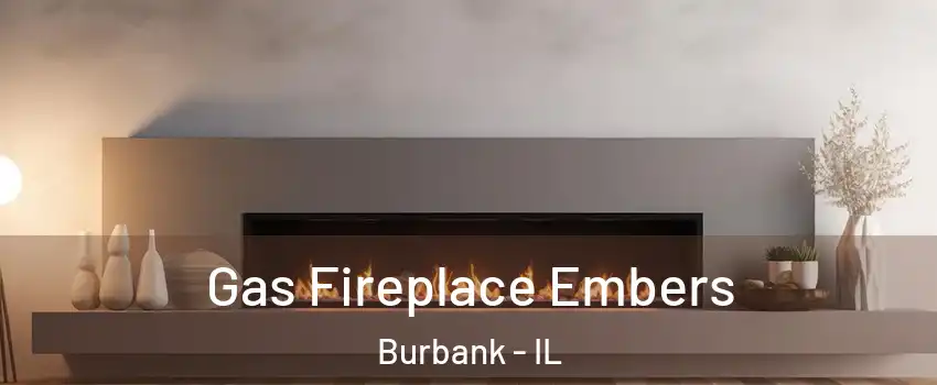  Gas Fireplace Embers Burbank - IL