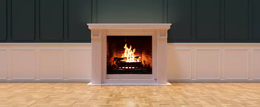 Napoleon Electric Fireplaces Inspection Service in Burbank, Illinois