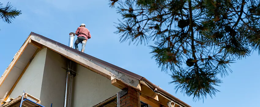 Birds Removal Contractors from Chimney in Burbank, IL
