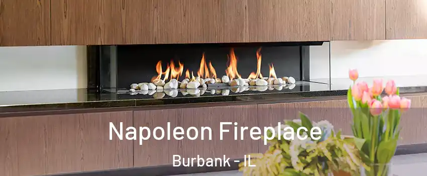  Napoleon Fireplace Burbank - IL